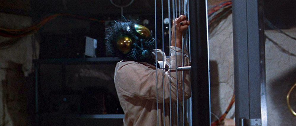 FF The Fly